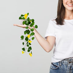 fancymart Artificial Flower Plant Home Décor with Small Size Pot | Pack of 2 | Plant Hanging for Home Decor | Office Decor (DESIGN-01)