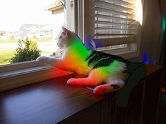 Rob's Super Happy Fun Store Diffraction Grating Sheet - 13,500 Lines/inch - Great Prism/Sun Catcher Material (6 in x 5 ft (15 cm x 152 cm))