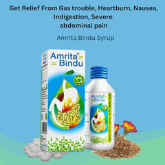 Amrita Bindu Shankar Pharmacy Amrita Bindu Syrup 120ml (Ayurvedic)
