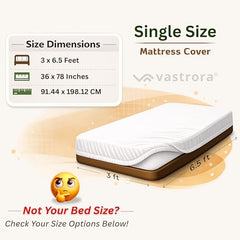 Vastrora 100% Waterproof Mattress Protector Queen Size 5x6 Ft | 60x72 in | Pee & Urine Proof Mattress Cover | Elastic All-Around | Terry Cotton Fitted Bed Cover | Noiseless, Breathable Bed Protector