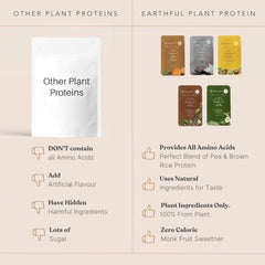 Earthful Honest Plant Protein - Assorted Pack | Daily Use Sachet Pack of 5 | For Weight Management, Energy, Muscle Support & Recovery | 24g Protein Per Serving | Made With Pea & Brown Rice