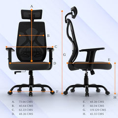 Furnivo Titan Ergonomic Office Chair for Home & Office | Adjustable Armrests | 120 Recline | Lumbar Support | Thick Cushioned Seat | Heavy-Duty Base | 3 Years Warranty (Eco Black Red)