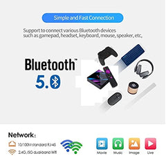 TECHDASH X96Q Mini PC Box with Allwinner H313 Quad-Core, 2GB RAM, 16GB Storage, HDMI Output, Dual USB, TF Card Slot, WiFi | Android 10 Based Android PC Box