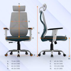Furnivo Titan Ergonomic Office Chair for Home & Office | Adjustable Armrests | 120 Recline | Lumbar Support | Thick Cushioned Seat | Heavy-Duty Base | 3 Years Warranty (Eco Black Red)