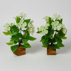 fancymart Artificial Flower Plant Home Décor with Small Size Pot | Pack of 2 | Plant Hanging for Home Decor | Office Decor (DESIGN-01)