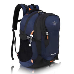 Wesley Spartan Unisex Travel Hiking Laptop Bag fits Upto 17.3 inch with Raincover and Internal Organiser Backpack Rucksack College Backpack