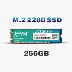 EVM 1TB M.2 SATA SSD 2280 | Internal SSD | Up to 550MB/s Read 370MB/s Write | Laptop Desktop Upgrade Storage | 5 Year Warranty (EVMM2/1TB)