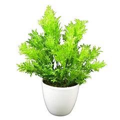 fancymart Artificial Flower Plant Home Décor with Small Size Pot | Pack of 2 | Plant Hanging for Home Decor | Office Decor (DESIGN-01)
