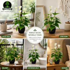 GARDEN GYANI Artificial Areca Palm Plant with Black Pot – 145 cm Tall Faux Tropical Decorative Plant with 35 Leaves for Home, Office & Living Room Décor