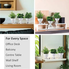 Kuber Industries 3 Pcs Set Plastic Mini Artificial Plants with Pot | Table Top & TV Unit Decorative Items for Living Room | Faux Plants for Home Decor & Office Desk | Man Shape - Black