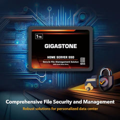 Gigastone 【NAS Certified】 Home Server SSD 1TB (2-Pack) Up to 550MB/s TLC Flash with SLC Caching 24/7 Reliable for Gaming/PC/NAS SSD 3-Year Warranty 2.5" SATA Internal Solid State Drives RAID Disk