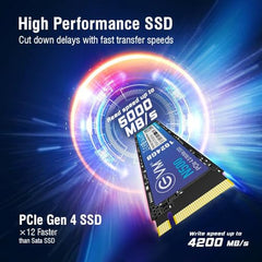 EVM Internal SSD Interface PCle Gen 3x4 Fast Performance, Ultra Low Power Consumption NVME PCIe SSD (EVMNV/256GB, Black, 256GB)
