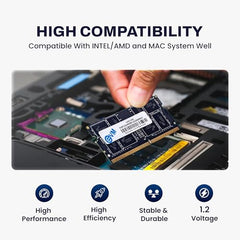 EVM 8GB DDR4 Desktop RAM 3200MHz | Long-DIMM – 1.2V Low Voltage |288-PIN Pin, Intel & AMD Compatible | High-Speed PC Memory Upgrade | 10 Year Warranty (EVMT8G3200U88P)