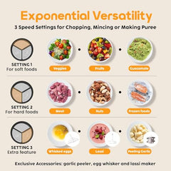 Zerastia Electric Chopper 2L Stainless Steel | Heavy Duty Meat Grinder, Vegetable Chopper & Food Processor | Multipurpose Mixer Grinder Machine for Kitchen
