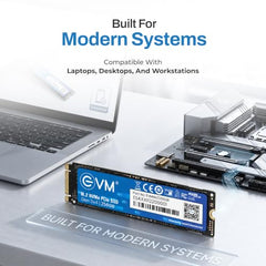 EVM Internal SSD Interface PCle Gen 3x4 Fast Performance, Ultra Low Power Consumption NVME PCIe SSD (EVMNV/256GB, Black, 256GB)