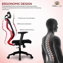 Oakcraft Hurricane Premium Ergonomic Office Chair | Dynamic 2D Lumbar Support | High-Back Executive Chair for Office, Home & Workstation