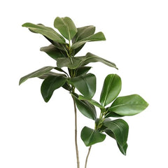 AAVANA GREENS Plastic 40 Inch Artificial Flower Plant for Indoor and Outdoor, Home, Shop, Office, Restaurant Decoration Dark Green (Pack of 1) (1, Plant 8 - with Pot)