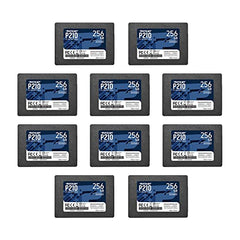 Patriot Memory P210 512GB Internal SSD SATA 3 2.5 Solid State Drive P210S512G25