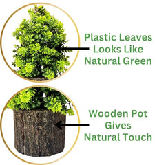 Dekorly Small Artificial Bonsai Tree Fake Plant Potted House Plants Japanese Pine Bonsai Plant Faux Bonsai for Home Indoor Decoration Office (Wooden Potted Plants, Design-G)