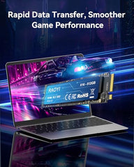 RAOYI 1TB NVMe Internal Solid State Drive M.2 2280 PCIe Gen4x4 SSD, Up to 5000MB/s, Configure SLC Cache, Storage and Memory Expansion for PS5 Laptop Desktop
