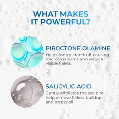 Aqueria Oil Control 3% Niacinamide French Face Serum for Oily & combination Skin with 2% BHA | Oil Free & Non Comedogenic Mattifying Anti Acne Serum | Fades Acne Marks & Reduces Dark Spots | Reduces Blackheads, Excess Oil & Bumpy Texture | Lightweight &…