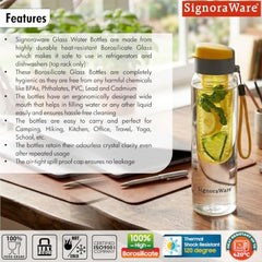 SignoraWare Infuser Borosilicate Glass Water Bottle, Detox(750ml, Yellow)