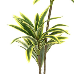 AAVANA GREENS Plastic 40 Inch Artificial Flower Plant for Indoor and Outdoor, Home, Shop, Office, Restaurant Decoration Dark Green (Pack of 1) (1, Plant 8 - with Pot)