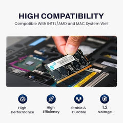 EVM 8GB DDR4 Desktop RAM 3200MHz | Long-DIMM – 1.2V Low Voltage |288-PIN Pin, Intel & AMD Compatible | High-Speed PC Memory Upgrade | 10 Year Warranty (EVMT8G3200U88P)