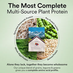Wellbeing Nutrition Organic Vegan Plant Protein Isolate| 22g Protein, 5g BCAA, 3B CFU Probiotics, Digest Enzymes, 3g Fiber, 5 Alkalizing Greens| NO Bloating, Easy to Digest| Canadian Mixed Berry 500gm
