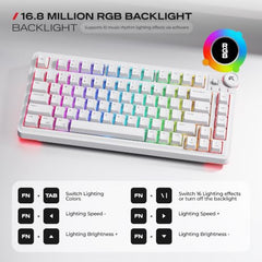 CYBEART Nighthawk 75 Wireless Mechanical Keyboard, 81 Keys with Multimedia Knob, Tri-Mode Bluetooth 5.1/2.4GHz/Wired, Hot-Swappable, RGB Backlit, Linear Switches, PBT Keycaps, 4000mAh Battery