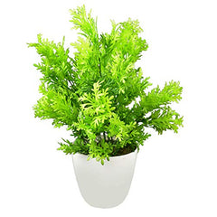 fancymart Artificial Flower Plant Home Décor with Small Size Pot | Pack of 2 | Plant Hanging for Home Decor | Office Decor (DESIGN-01)