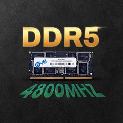 EVM 16GB DDR5 Desktop RAM Memory | 4800MHz | PC5-38400 | Long-DIMM | 288-Pin | CL19 | 1.1V Low Voltage | High Speed Performance | Intel & AMD Compatible | 10 Year Warranty (EVMT16G4800U88P)