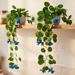 fancymart Artificial Flower Plant Home Décor with Small Size Pot | Pack of 2 | Plant Hanging for Home Decor | Office Decor (DESIGN-01)