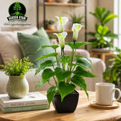 GARDEN GYANI Artificial Areca Palm Plant with Black Pot – 145 cm Tall Faux Tropical Decorative Plant with 35 Leaves for Home, Office & Living Room Décor