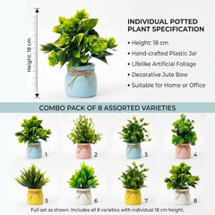 amazon basics Artificial Potted Plants, Artificial Plastic Eucalyptus Plants Small Indoor Potted Houseplants, Small Faux Plants for Home Decor Bathroom Office Farmhouse (Set of 8)