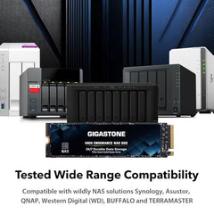 Gigastone 【NAS Certified】 High Endurance M.2 SSD 2TB (2-Pack) for Data Cache and Fast Boot, NVMe PCIe Gen3 Up to 2600MB/s, TLC Flash with SLC Caching, 24/7 Reliable for Gaming/PC/NAS, 5-Year Warranty