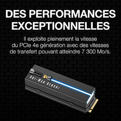 Seagate Game Drive PS5 NVMe SSD for PS5 2TB Internal Solid State Drive - PCIe Gen4 NVMe 1.4, Officially Licensed, Up to 7300MB/s with Heatsink (ZP2000GP3A1001)