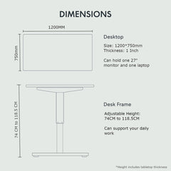 FLEXISPOT EN1 Best Standing Desk | Anti-Collision Detection | 5Y Warranty | 80 KG | Ergonomic Electric Height Adjustable Sit Stand Table (White-White, 120x75CM)