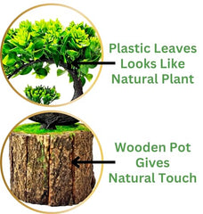 Dekorly Small Artificial Bonsai Tree Fake Plant Potted House Plants Japanese Pine Bonsai Plant Faux Bonsai for Home Indoor Decoration Office (Wooden Potted Plants, Design-G)