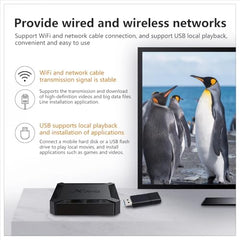 AUSHA X96Q Mini PC Box with Allwinner H313 Quad-Core, 2GB RAM, 16GB Storage, HDMI Output, Dual USB, TF Card Slot, WiFi | Android 10 Based Android PC Box