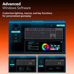 Zebronics Max Ninja 61W Mechanical Keyboard, 60% Compact Layout, Tri-Mode Rechargeable, N-Key Rollover, Linear Red Switches, 1000Hz Polling Rate, 61 Keys, Software Support, Win & Mac Support