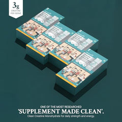 TrueBasics Clean Creatine Monohydrate Powder, Citrus Flavor, 30 Sachets | 3g Creatine per Sachet