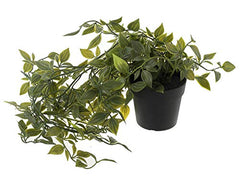 Kuber Industries 3 Pcs Set Plastic Mini Artificial Plants with Pot | Table Top & TV Unit Decorative Items for Living Room | Faux Plants for Home Decor & Office Desk | Man Shape - Black