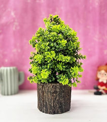 Dekorly Small Artificial Bonsai Tree Fake Plant Potted House Plants Japanese Pine Bonsai Plant Faux Bonsai for Home Indoor Decoration Office (Wooden Potted Plants, Design-G)