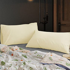 safhome Soft Pillow Covers 20 x 32 Inches - 100% Egyptian Cotton 400 Thread Count Set of 2 Pillow Cover Set Envelope Closure Hotel Quality Pillowcase - Aqua Blue