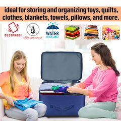 Storite 2 Pack Nylon Wardrobe Bag Underbed Cloth Storage Organizer | Moisture Proof Storage Bag, Storage box for Clothes Saree Bags, Zippered Closure & Handle - Magenta,37x34x23 cm