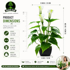 GARDEN GYANI Artificial Areca Palm Plant with Black Pot – 145 cm Tall Faux Tropical Decorative Plant with 35 Leaves for Home, Office & Living Room Décor