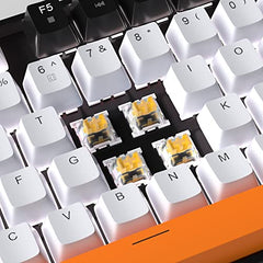 MageGee 75% Mechanical Gaming Keyboard with Brown Switch, LED White Backlit Keyboard, 87 Keys Compact TKL Wired Computer Keyboard for Windows Laptop PC Gamer - Retro Grey/White
