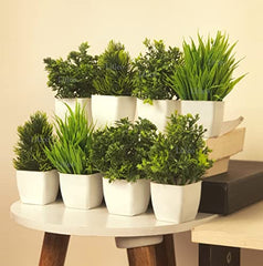 Litleo Plastic Artificial Plants Mini, Eucalyptus Potted Faux Decorative Grass Plant For Home Decor, Indoor, Office, Desk, Shelf, Table Decoration (Pack Of 4), Green
