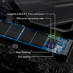 TeamGroup MP33 256GB Nvme M.2 2280 Pcie Gen 3 Gaming SSD, 3D NAND TLC, SLC Cache, Internal Solid State Drive, Speed Up to 1600/1000 MB/s, High Performance, Low Latency, ECC Function, for PC & Laptop